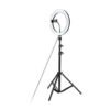 LED lamp